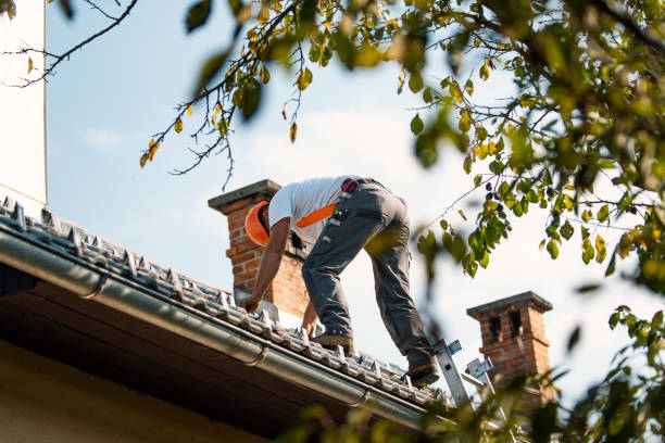 Best Roof Gutter Cleaning  in Gulfport, MS